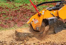 Best Lawn Maintenance Plans  in Anton, TX